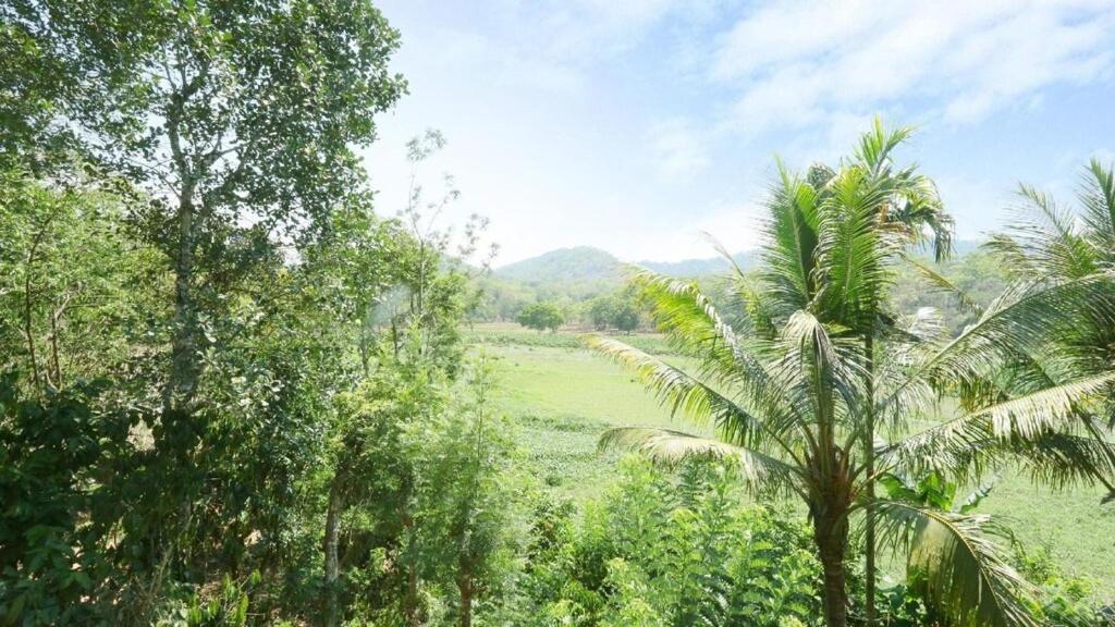 Hill Green Home Stay Thekkady Buitenkant foto